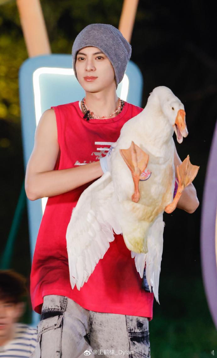 # 王鹤棣灰色针织冷帽##王鹤棣手捧大鹅# 王鹤棣戴着灰色针织冷帽，手捧大鹅的瞬