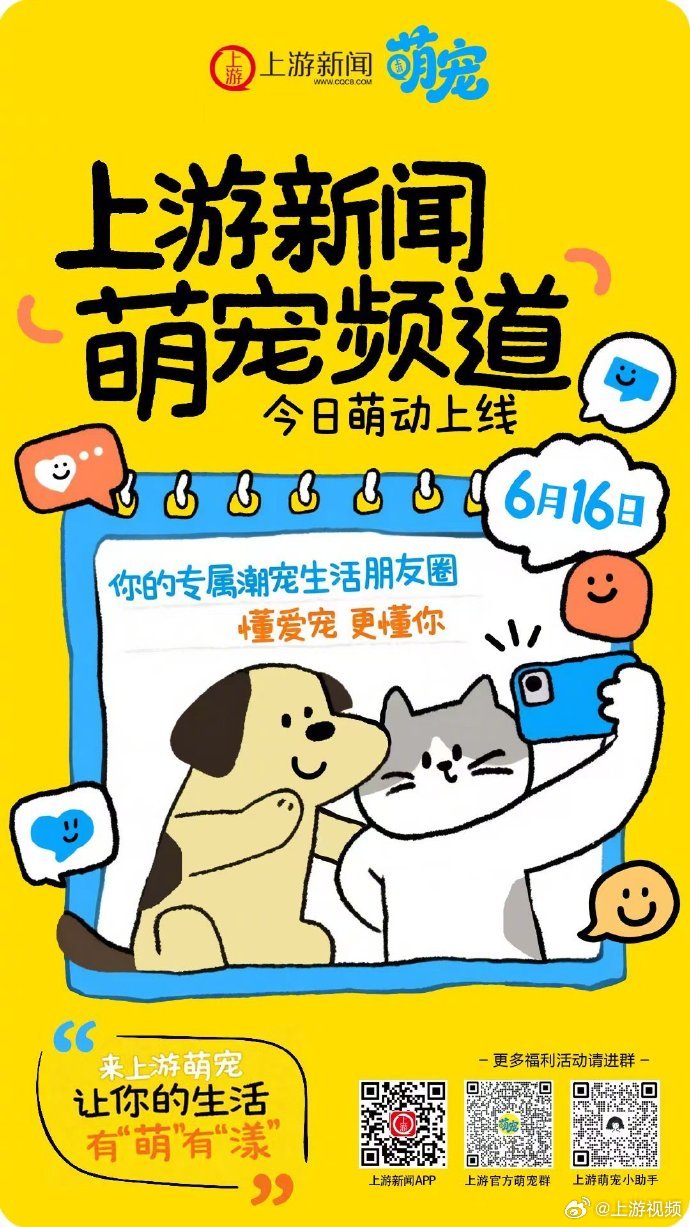 #重庆专属潮宠生活朋友圈来啦#【快来上游新闻，加入萌宠朋友圈】#上游新闻萌宠频道