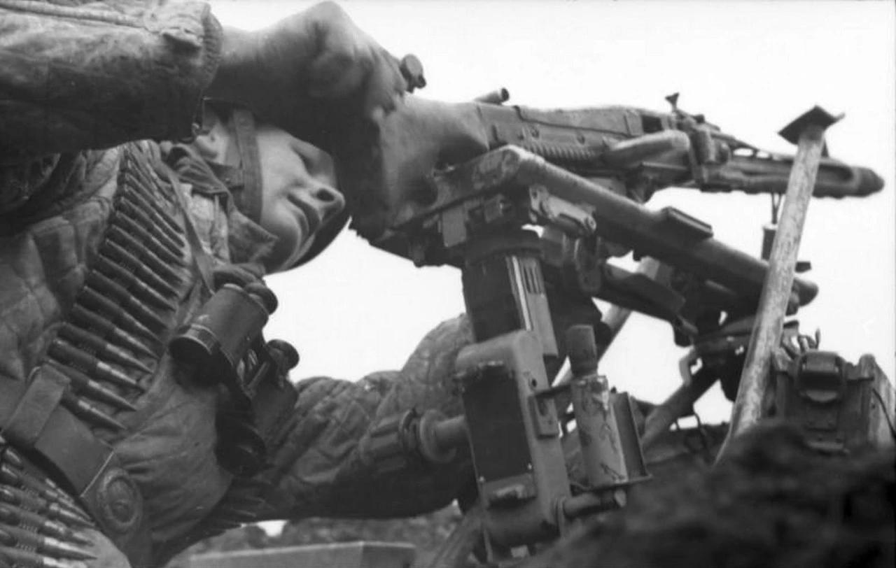 德国国防军第2伞兵师（2. Fallschirmjäger-Division）是