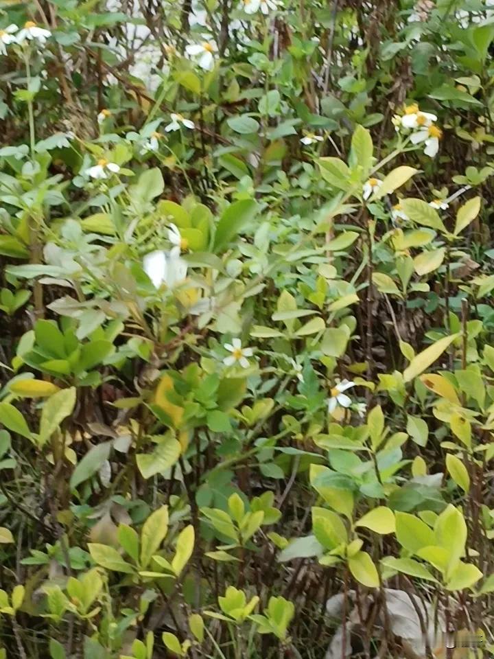 我后悔个锤子。

实实在在做人，对家人是真心相待的温暖，对朋友是靠谱担当的底气，