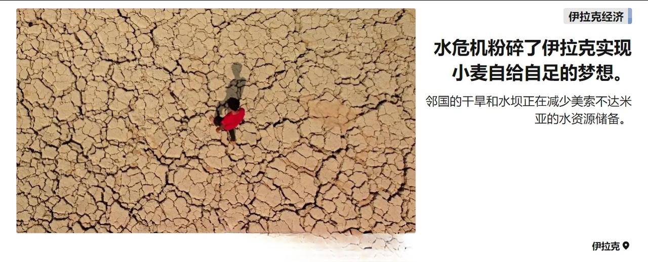 媒体报道，水资源危机可能导致这些年伊拉克努力推进的粮食自给自足计划化为泡影。 ​