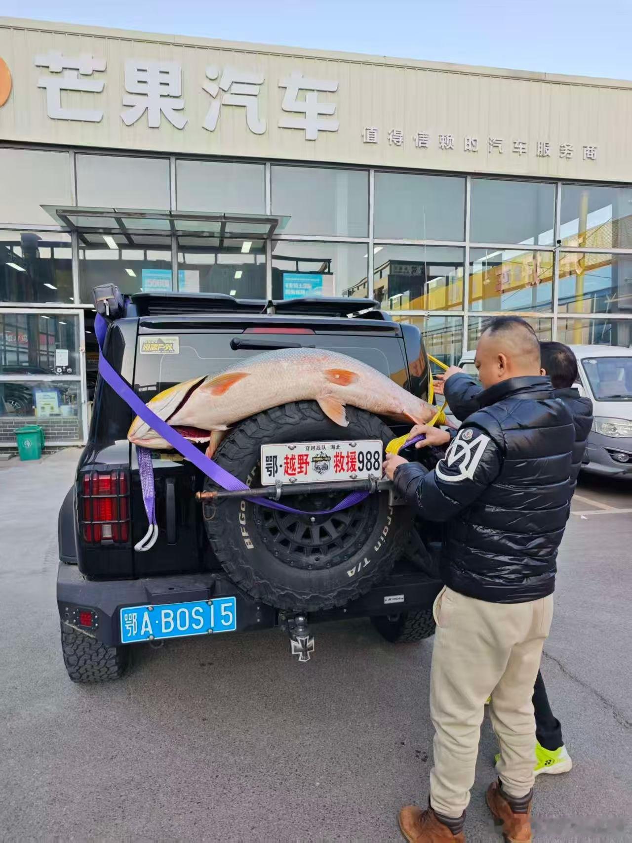 大哥路亚钓个巨物直接挂车上开启巡游模式今天一箱油不跑完不回家 武汉