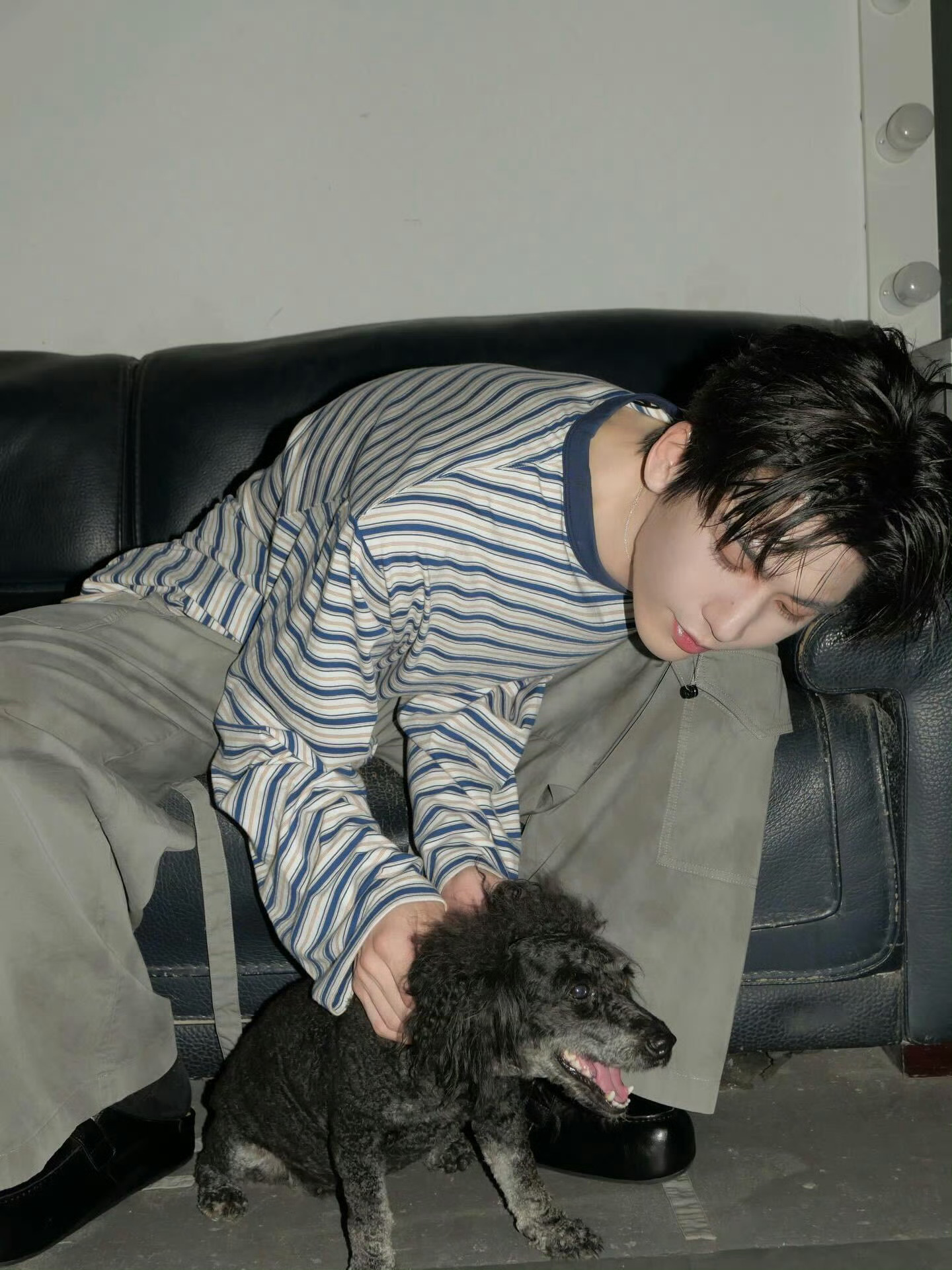 张凌赫 ins 更新 🐶 张凌赫ins更新萌照