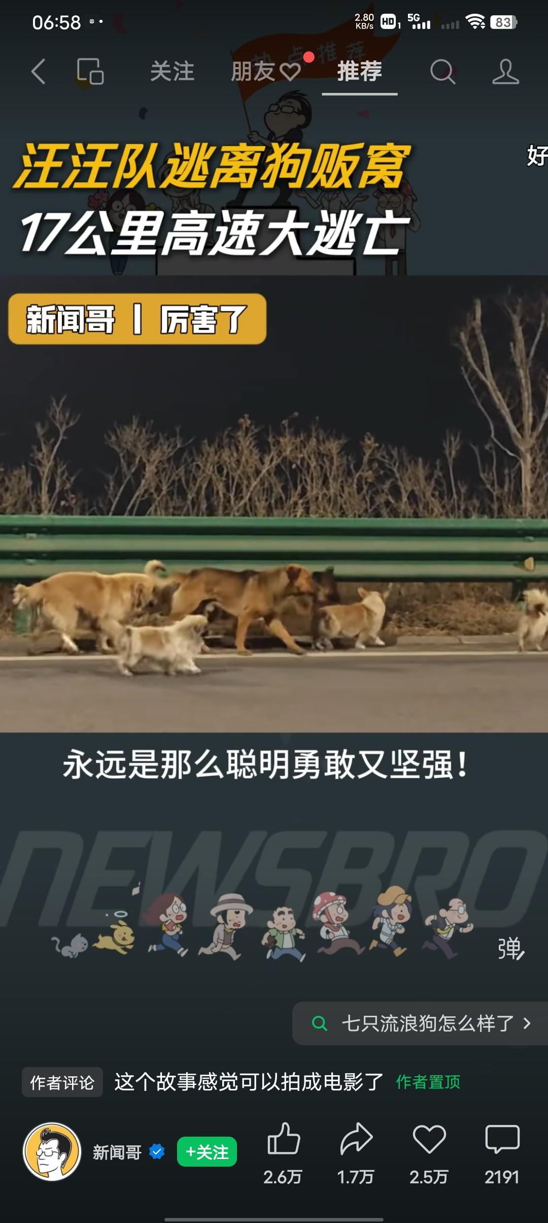 说实话，我又一次被狗狗的聪明勇敢坚强感动了！
当我刷到这个视频的时候，看着高速路