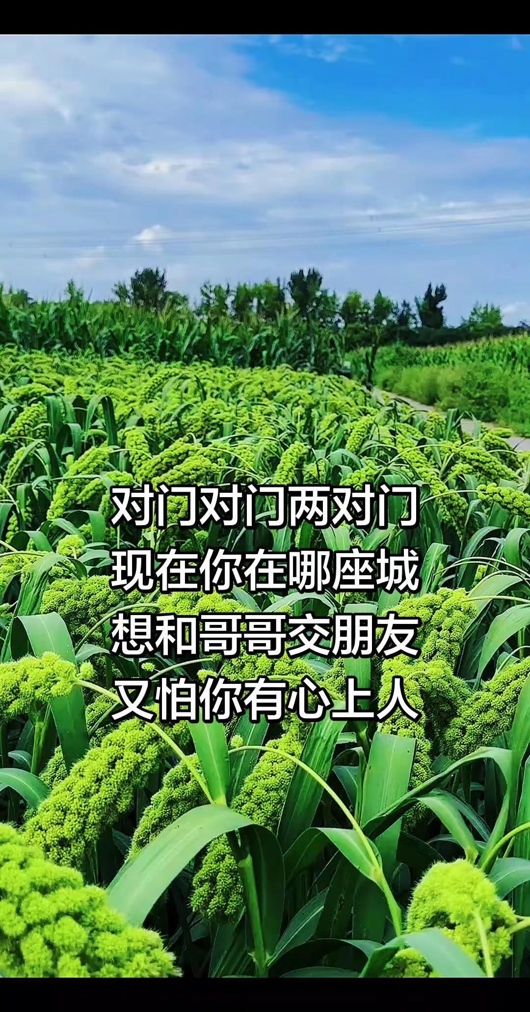 山歌