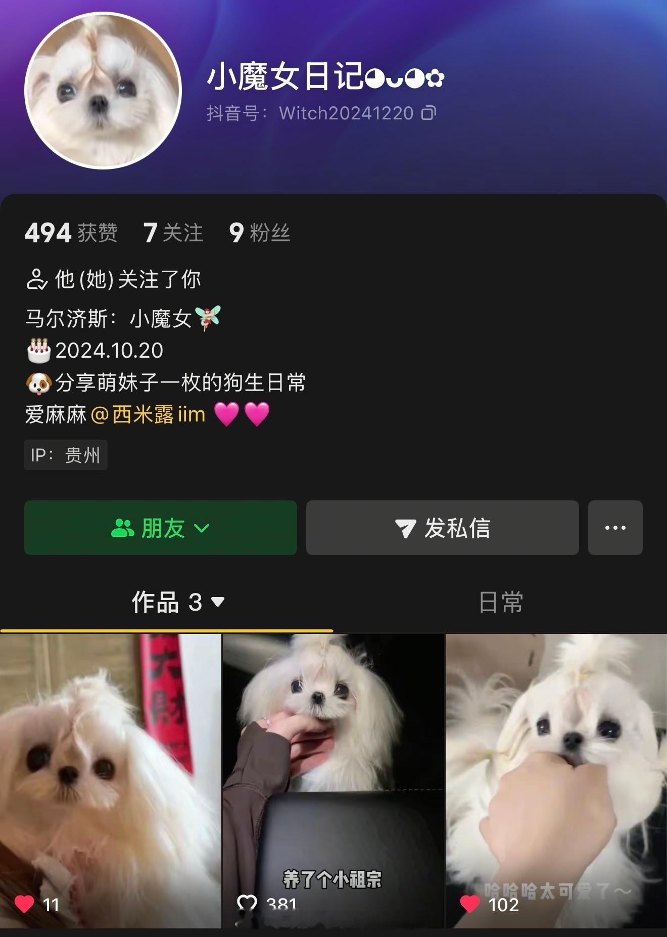喜欢修勾勾的🐶可以关注哟马尔济斯[超话]马尔济斯马尔济斯犬 ​​​