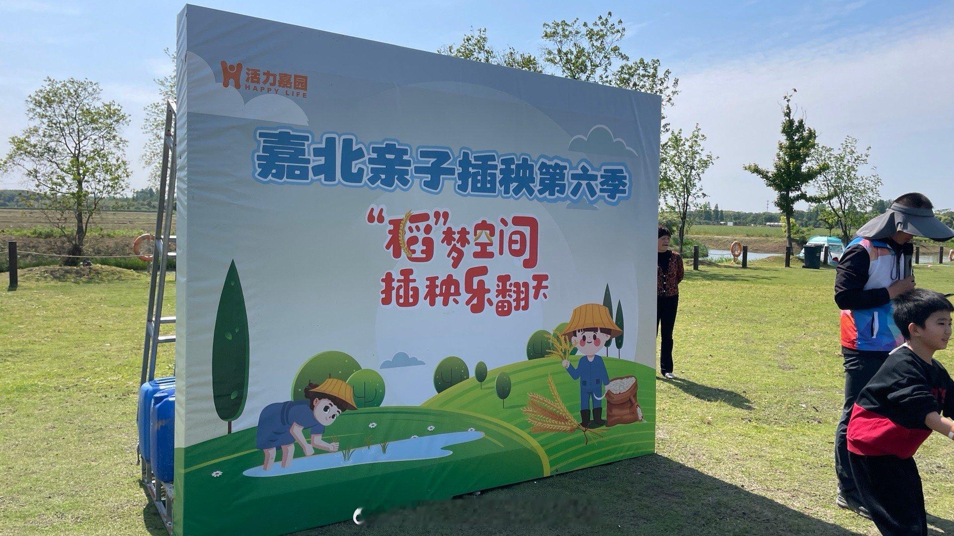 这个劳动节，没有劳动，而是带娃学习“插秧”，这个活动极具稀缺性，体验很棒！  ​