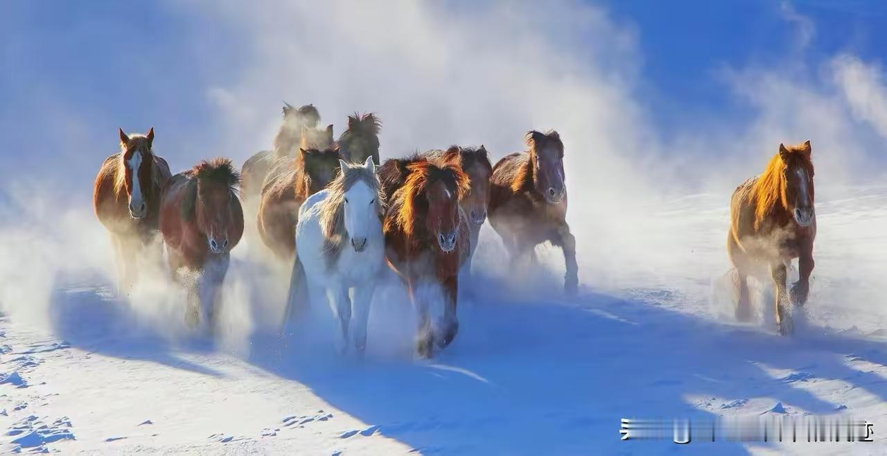 殿前欢·策马奋进
马识途，
奋蹄再踏旧征途。
当先一骑寻常数，
休道奇殊。
惧他