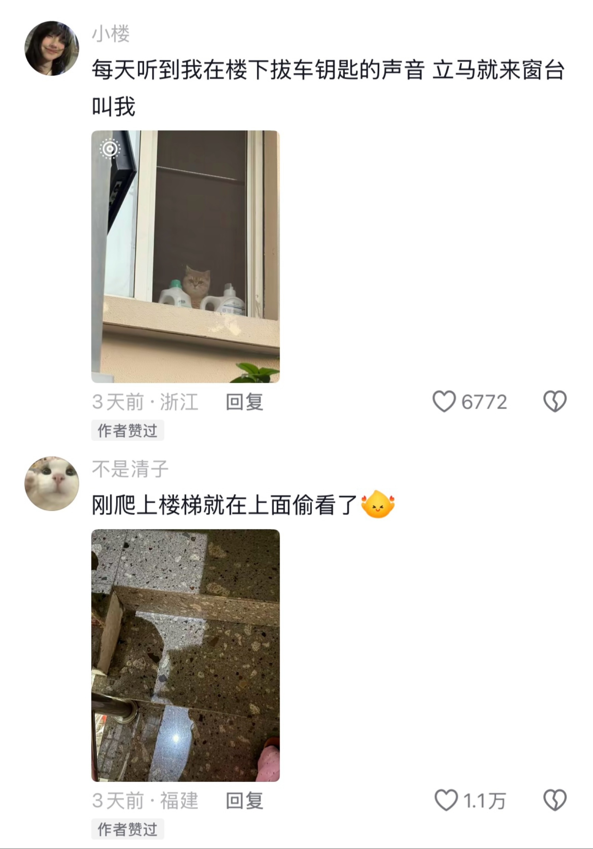 密逃8官宣阵容永远不要低估小猫对你的情感🥹 