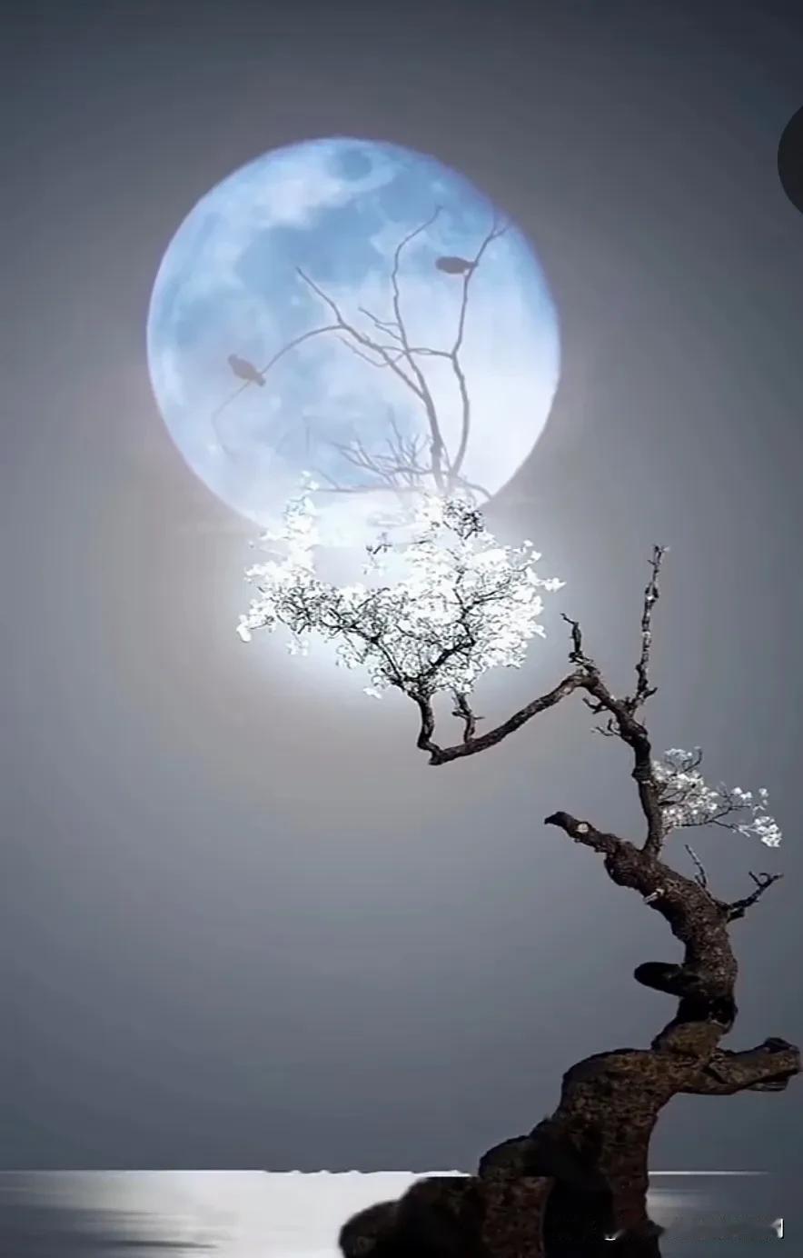 分享一张你相册里最近的一张照片
