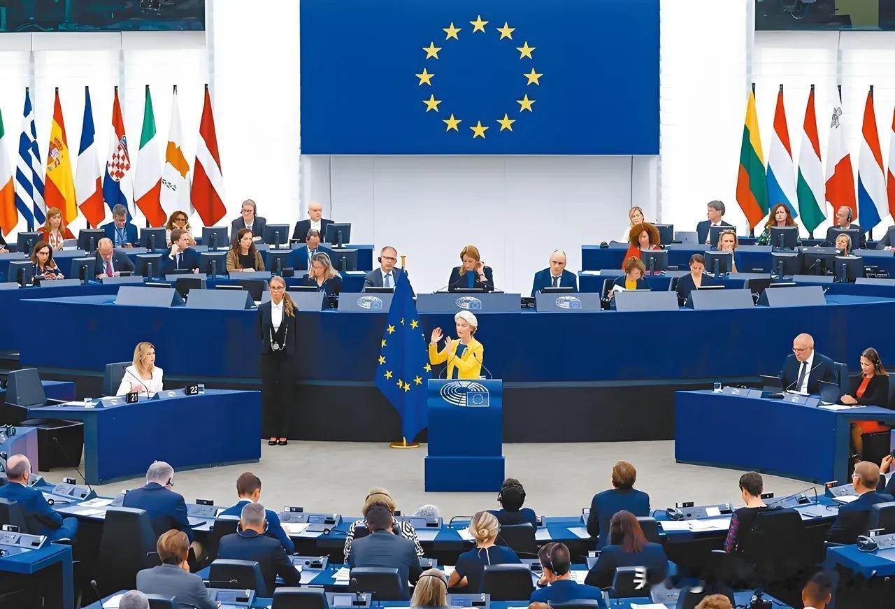 损失惨重！欧盟谴责中方称不该对乳制品加征关税，法国奶农一片哀嚎。


2025年