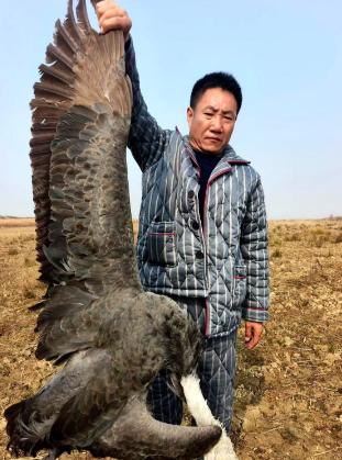 [月亮]鄱阳湖出事了，志愿者在禁猎核心区摸黑巡护时捡到一包白色颗粒，一验成分是被