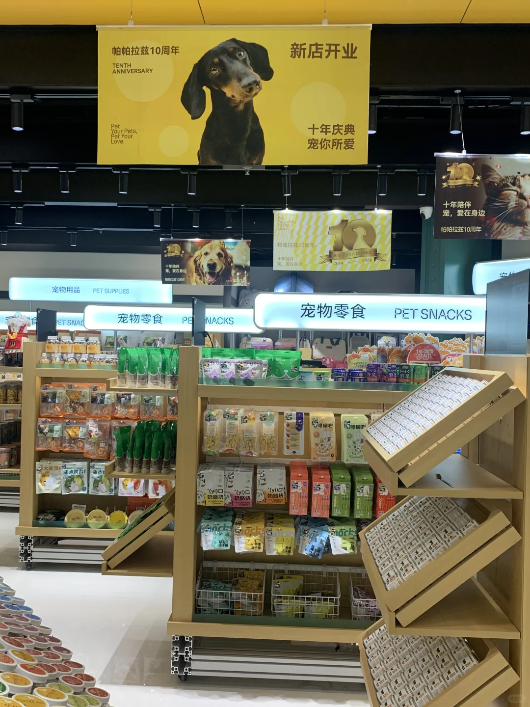 成都！宠物友好是真的！路边的类似爱情？🐱🐶