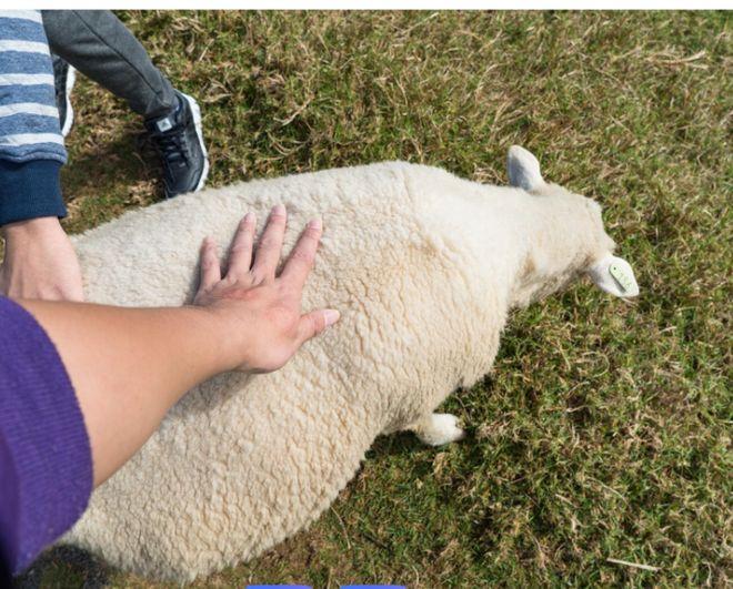 好心帮工竟酿生死悲剧，人情道义与法律责任怎可割裂看待。
 （个人观点仅供参考，无