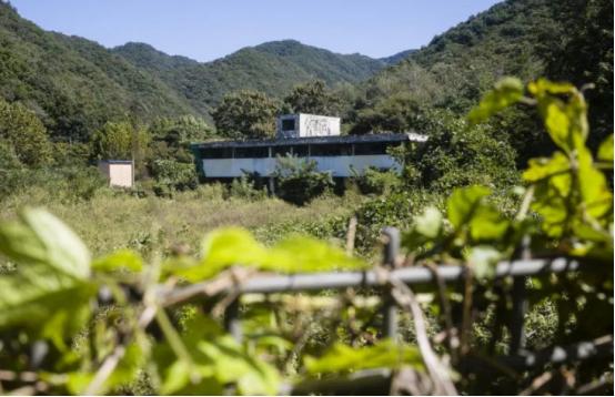 里程碑诉讼！117名韩国女性状告驻韩美军，要求美国政府给个说法
 
日前，据韩媒