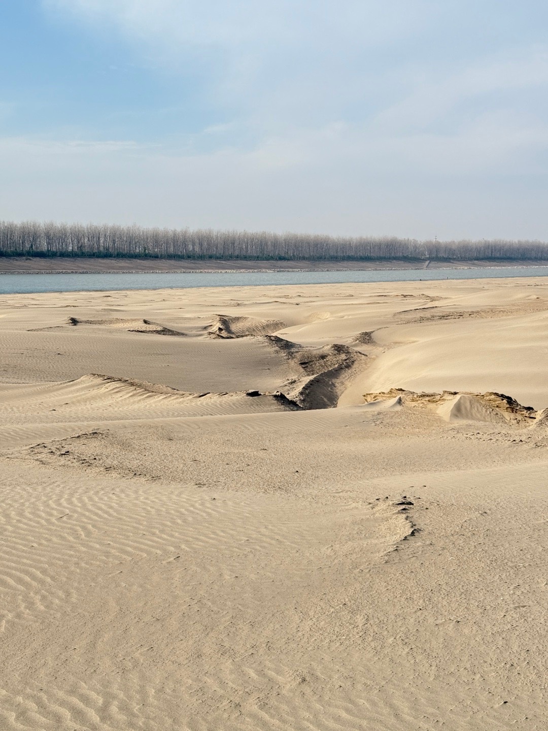 最近看到的一句话，一个合法的都靠不住，你还奢求一个见不得光的给你什么 