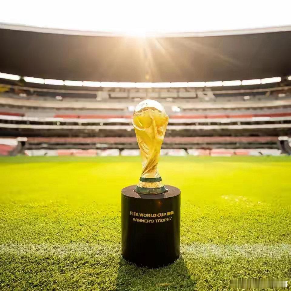 拿下了，FIFA秘书长亲自飞到北京，把报价从3亿美元砍到1.1亿，央视为何非买不