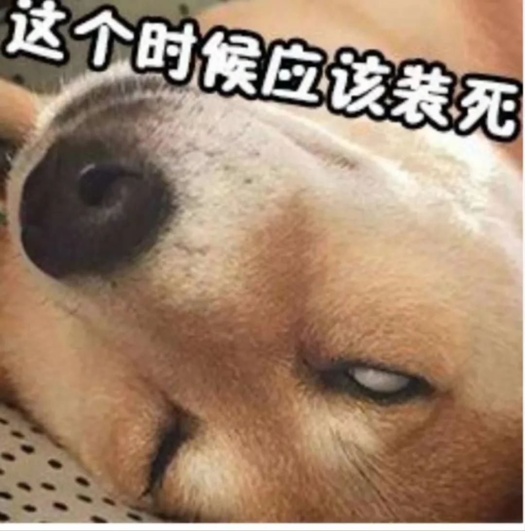 #每天一条冷知识# 骰子蛇是一种无毒蛇，在受到鸟类威胁时，它们倾向于通过装死来逃