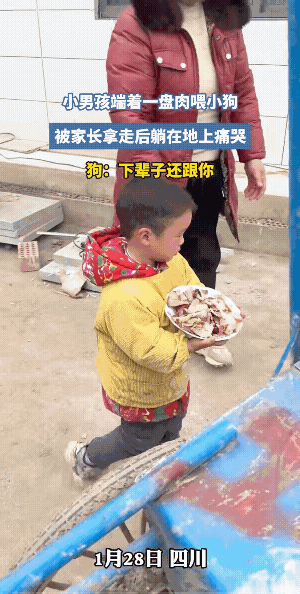 小男孩端着一盘肉向小黑狗走去，小黑狗看到后，尾巴就开始摇晃了起来。结果，到眼前了