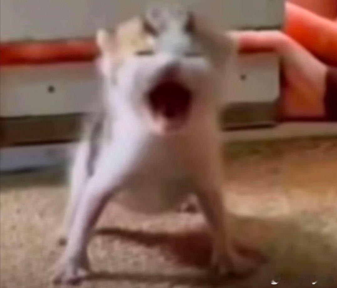 2025全国居民人均可支配收入增长5%谁涨了？？我就问谁涨了？？？ 