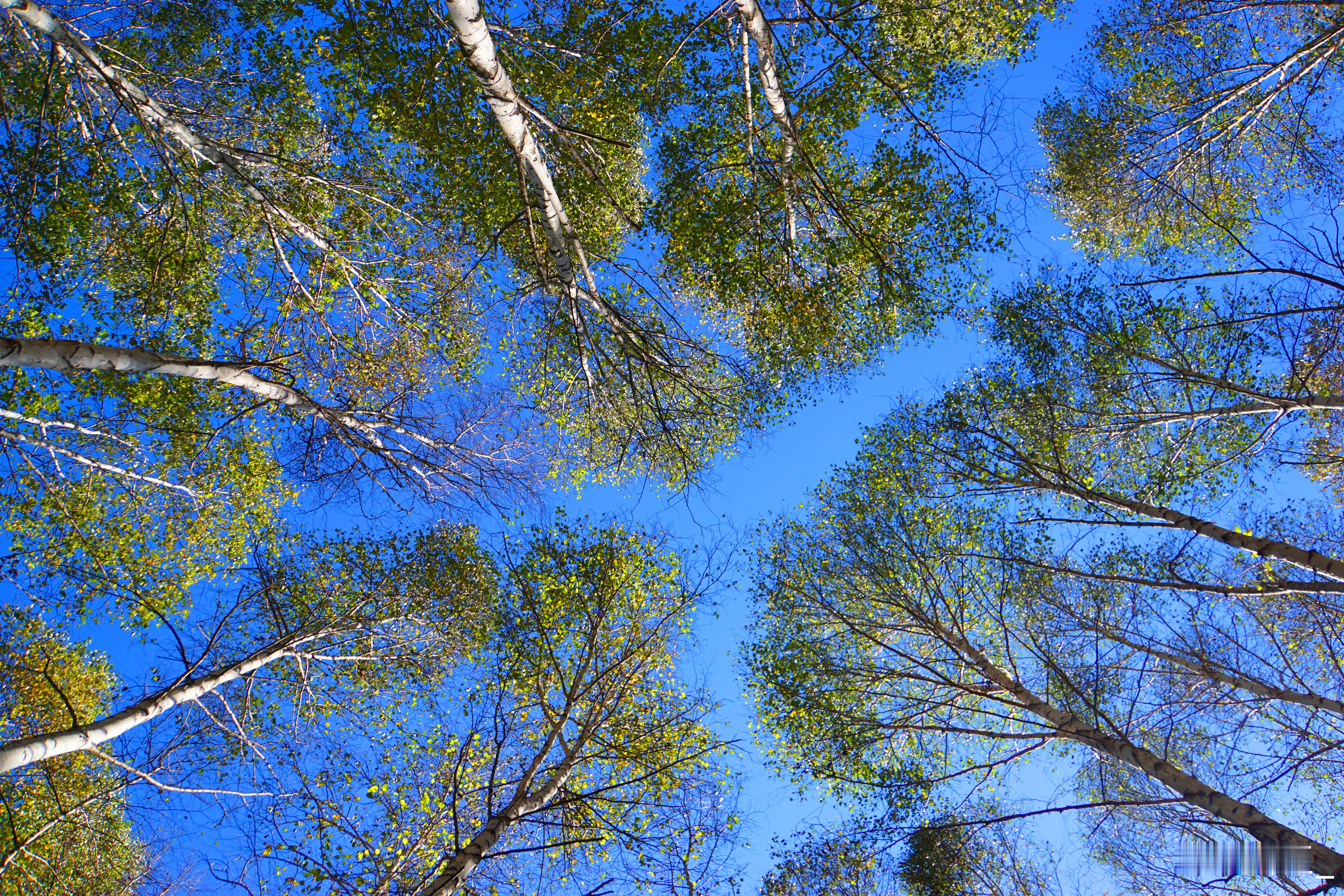 五一来邂逅抚顺的青绿风漫山城，草木染青。三块石叠翠，浑河淌绿，呼吸满是草木清甜。