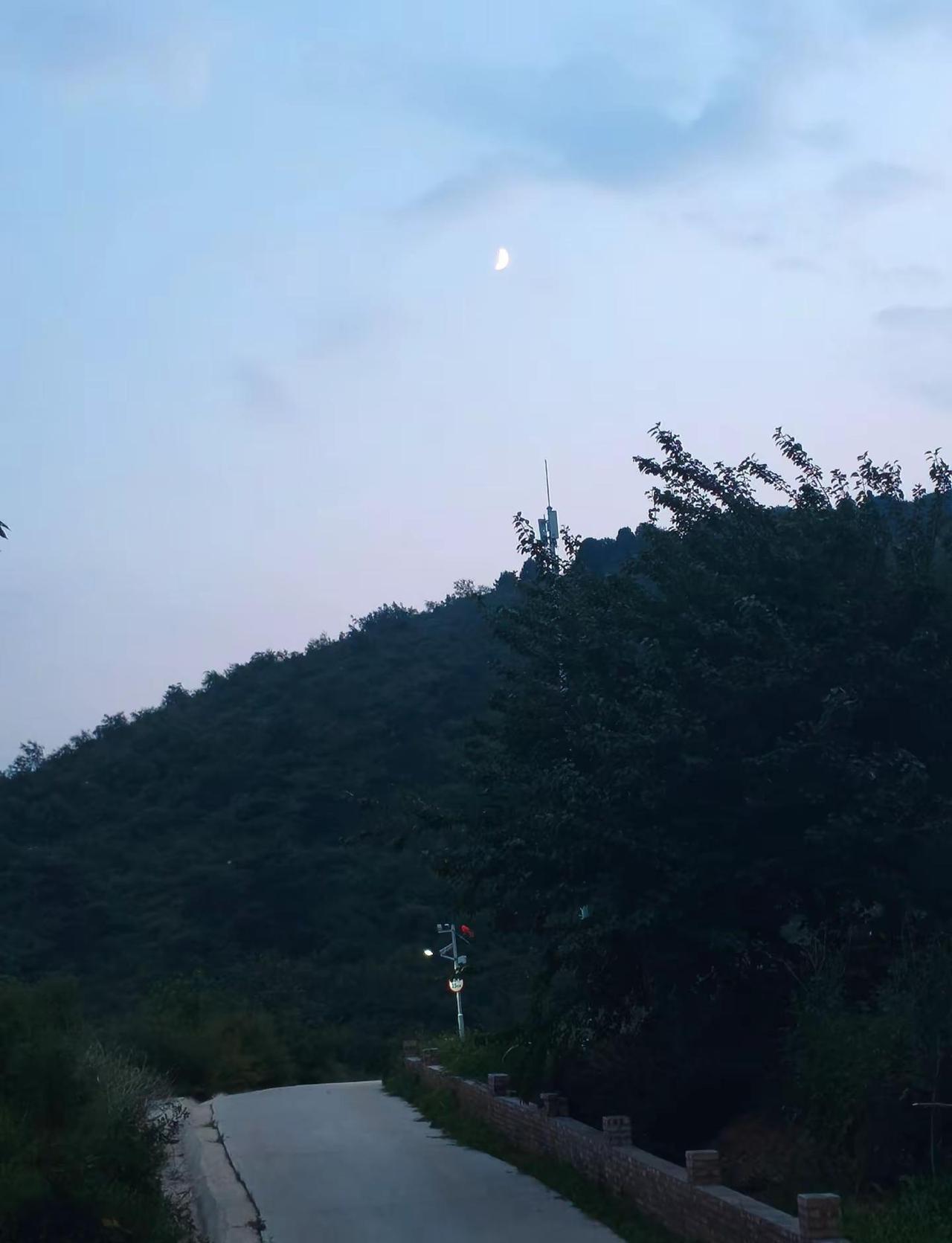 我还是喜欢一个人呆着，孤独从未困住我，那是我给自己留出的空白。朋友的出现是锦上添