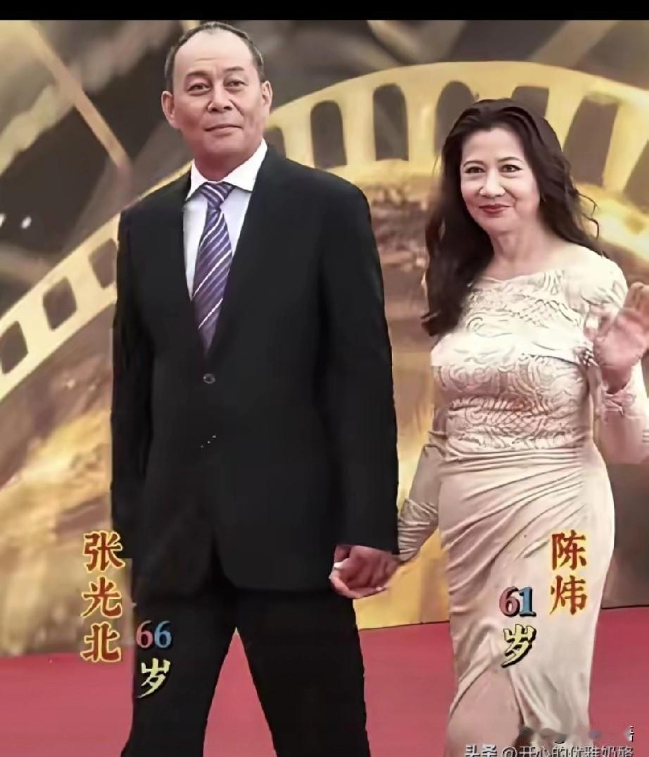 没事就喜欢刷视频，今天，刷到了张光北和他媳妇儿陈炜。
这俩儿人，长的不咋的，出镜