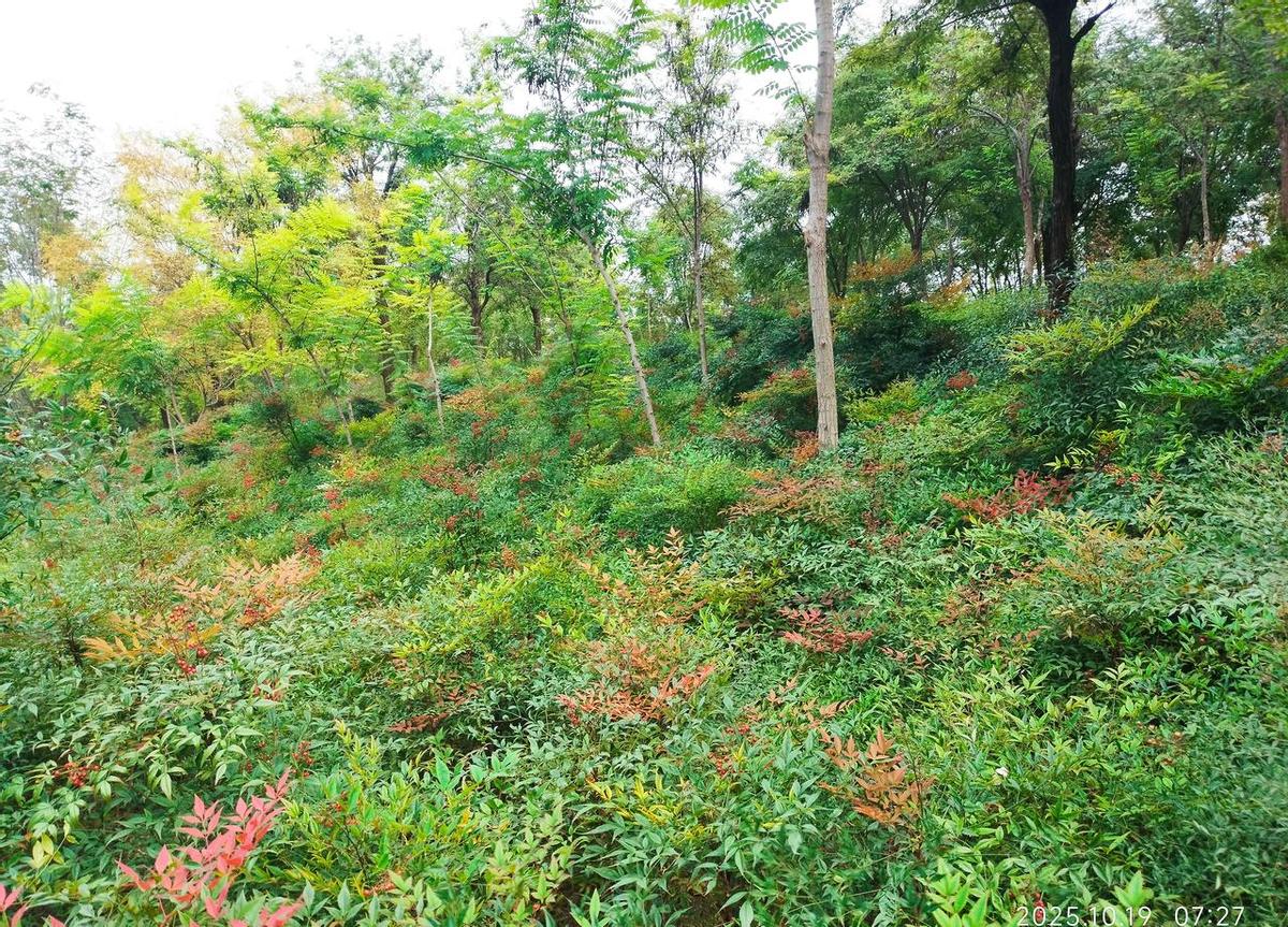 雨停了，天亮了，湛河堤上终于能喘口气。
跑完八公里，鞋底没沾泥，风不刺骨，但凉得