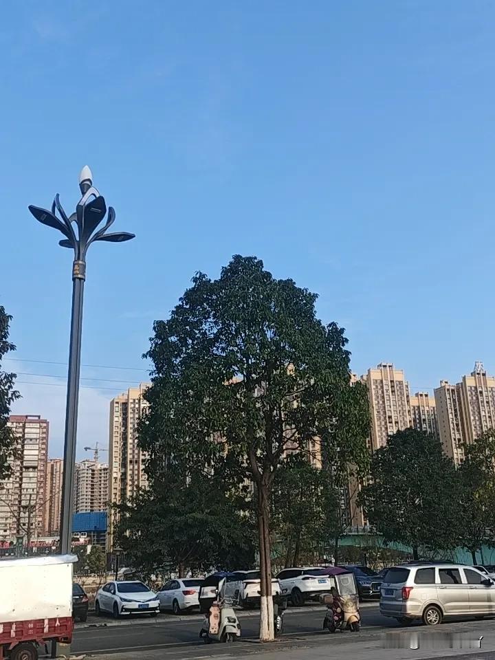 分享一张随手拍