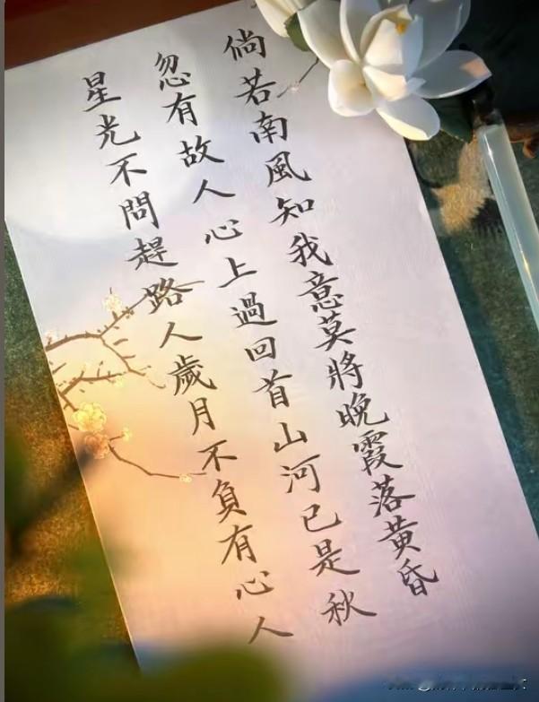 夫妻不到离婚，你看不到本性朋友不碰金钱，你看不到嘴眼儿女不到病态，你看不出孝子没