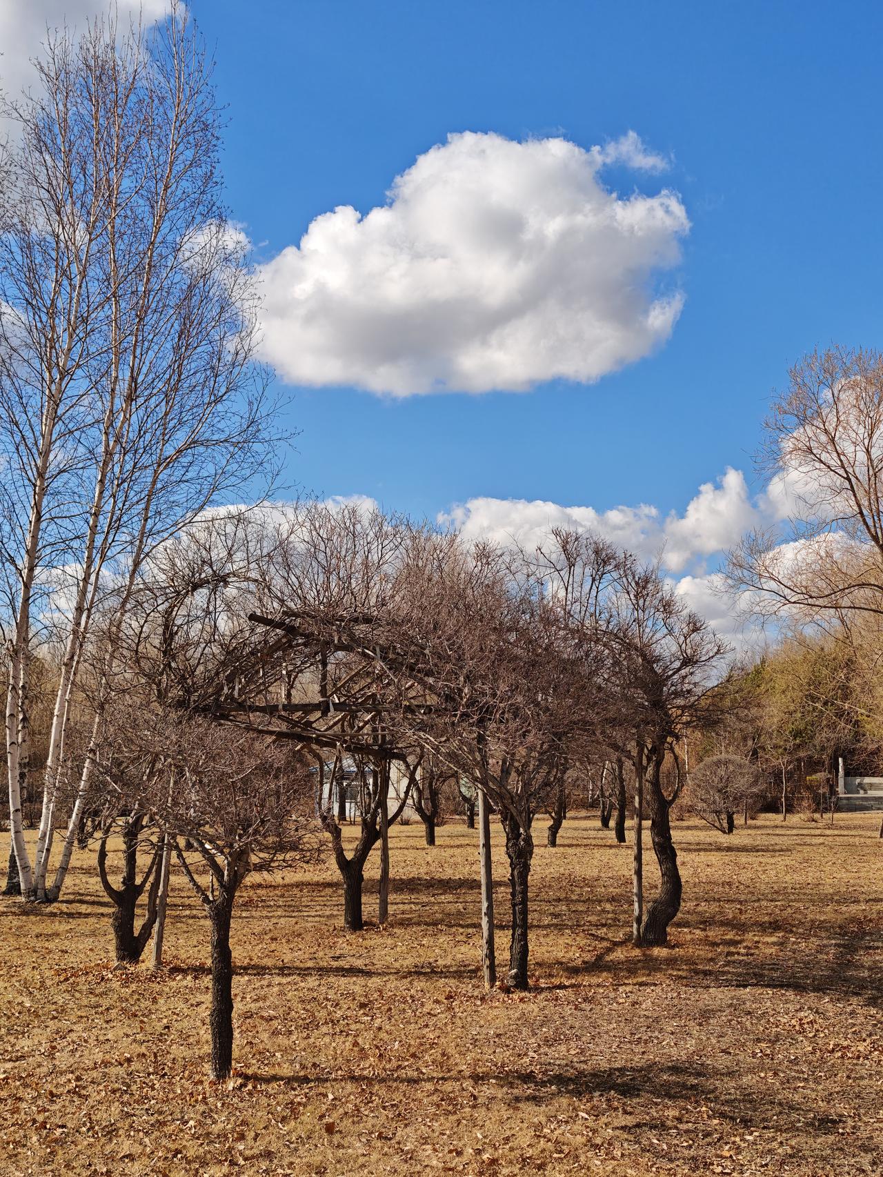 夏天快到了，各类蚊虫接二连三地登场了。

把藿香正气水直接倒进喷壶，再加入高度白