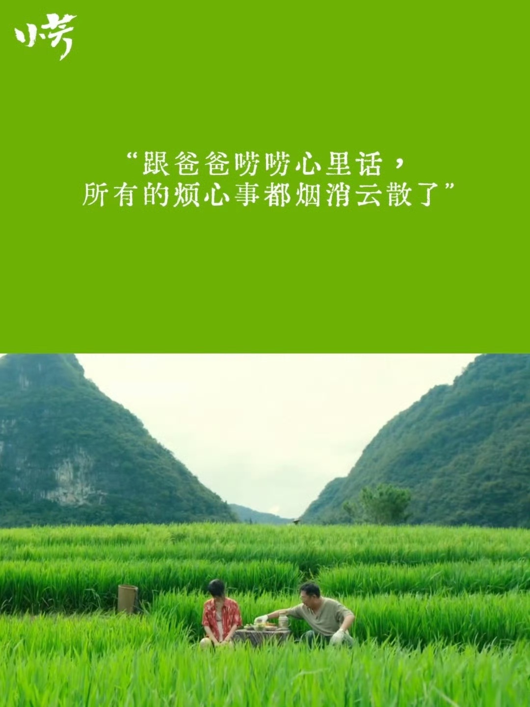 国产剧里找到了梦中情村电视剧小芳《小芳》全程实景拍摄，原生态山水村落氛围感拉满，