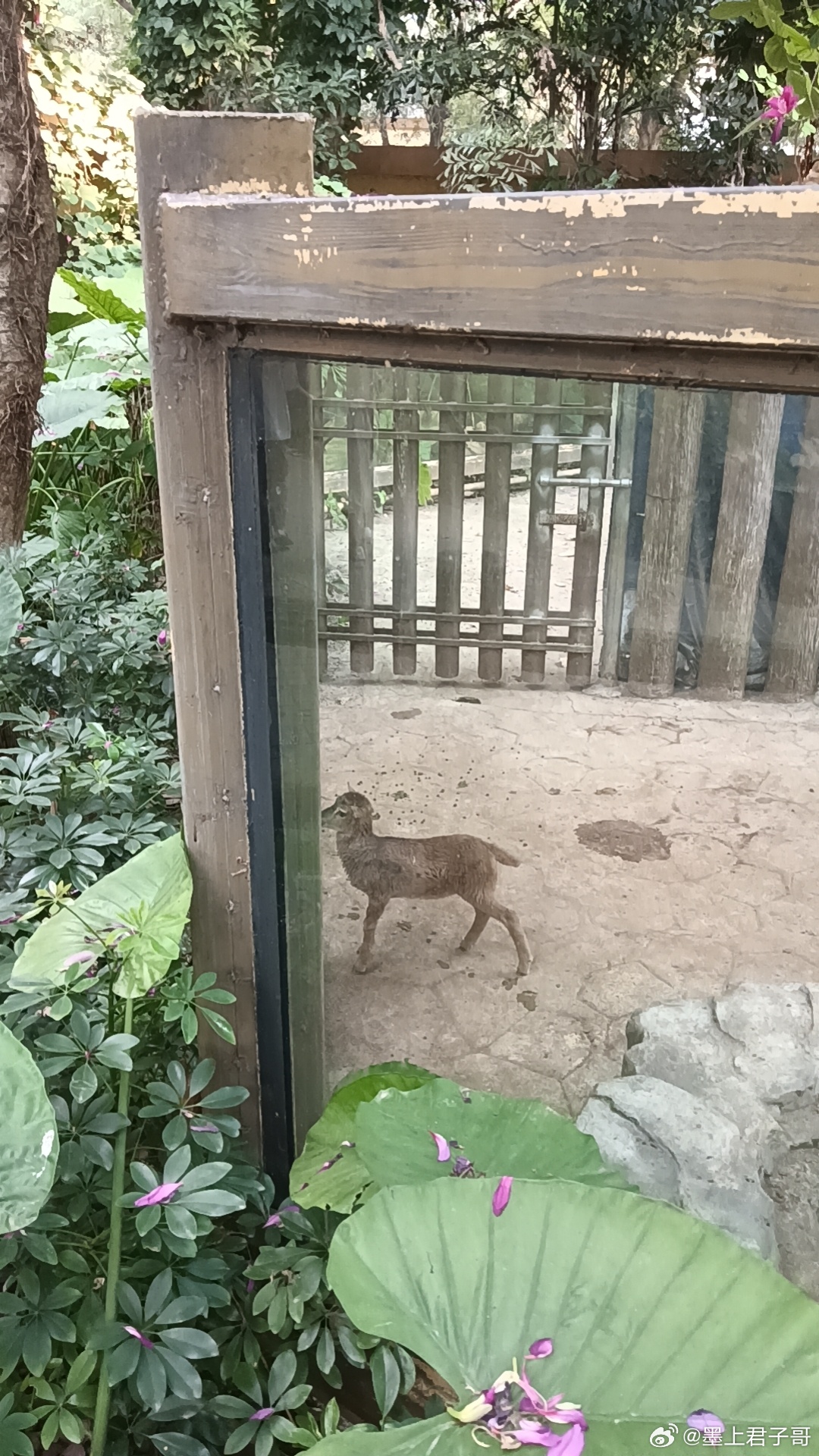 晚安 ​​​