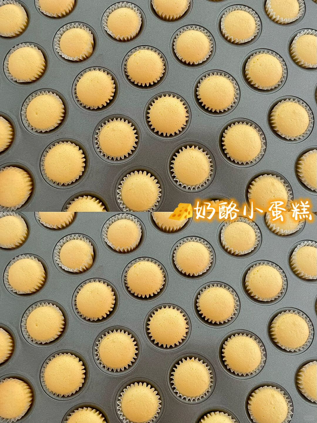 🧀️奶酪小蛋糕｜一口一个！不开裂不回缩！