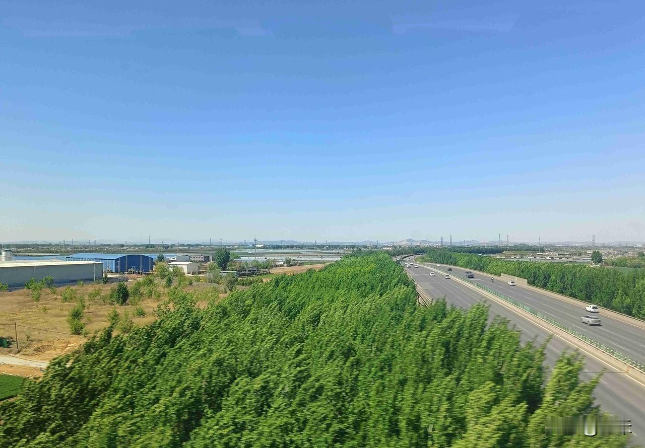 今天是4月29日，星期三，今天晴，我们这里的最高气温是零上23度，最低气温零上8