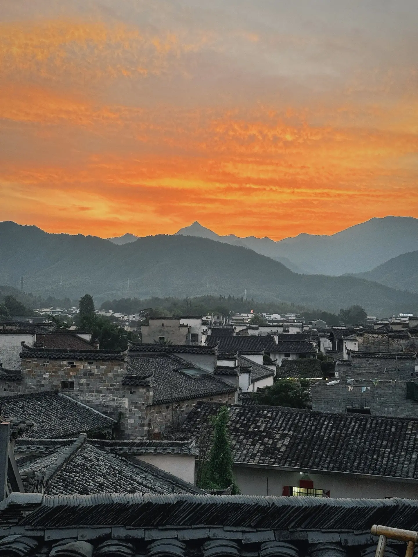 我见青山多妩媚。料青山见我应如是