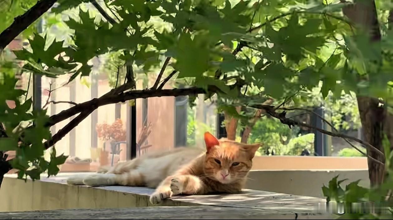 ➷₍ᐢ‥ᐢ₎ ♡🌱🌱→_→

     在匆匆光阴里，做个看花人，
不急不缓