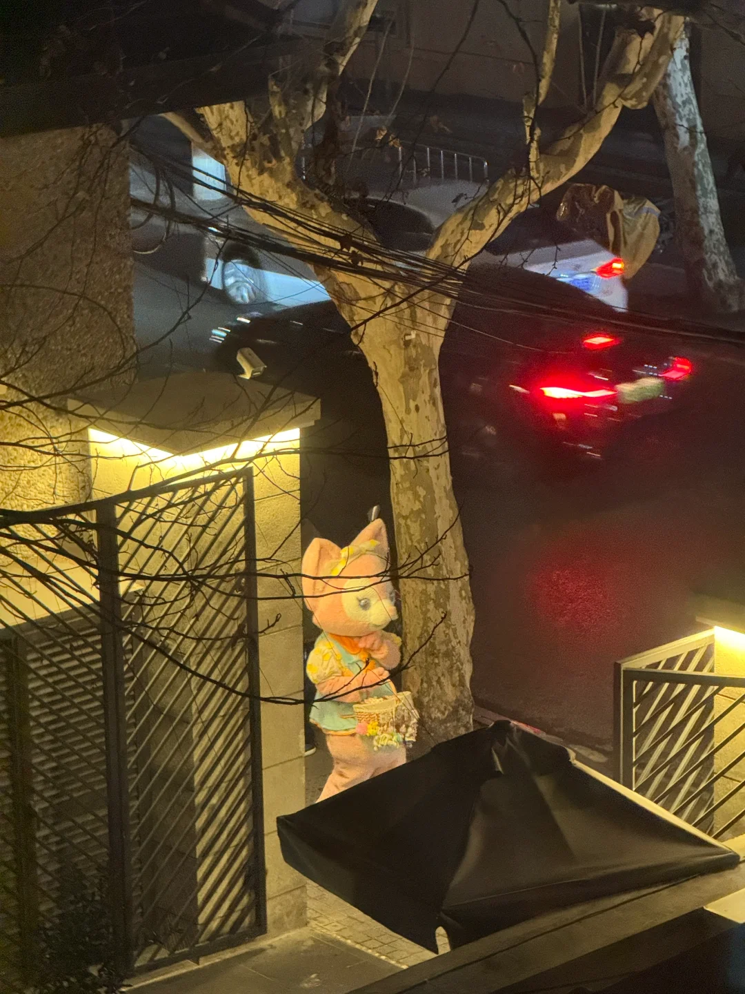 哈哈哈哈又被我发现了
