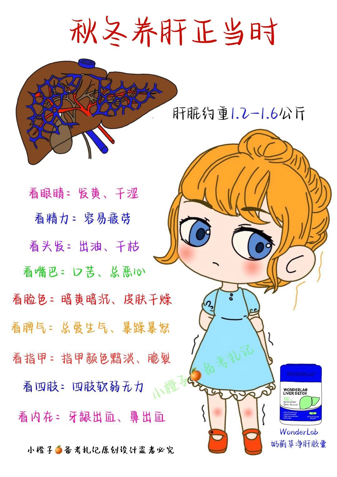 秋冬养肝正当时‼️这份护肝攻略收好✅