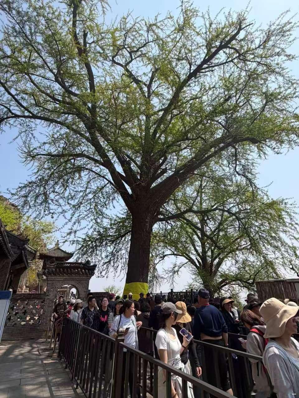 谁懂啊，本来以为就是普通爬山，结果一路像在打副本。每一站都有点东西，到最后真的有
