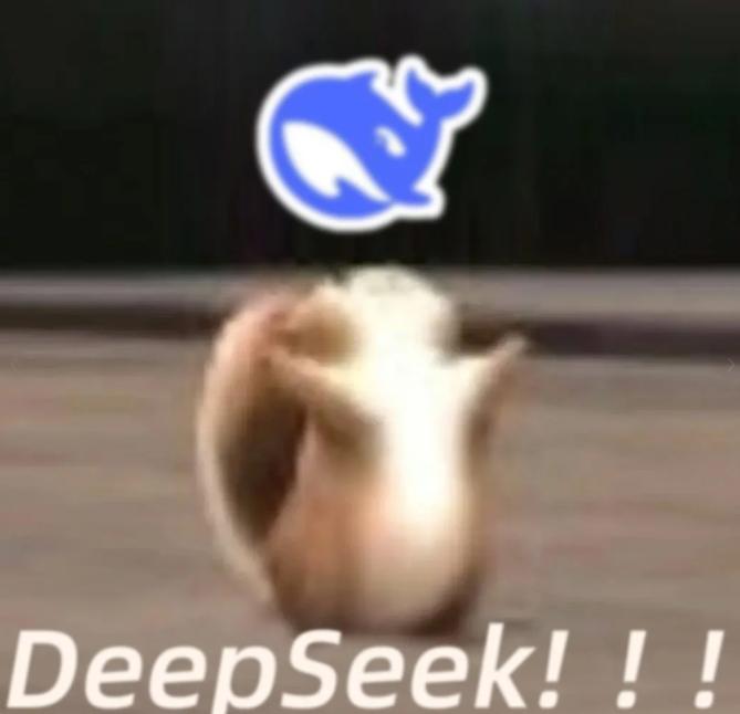 一个月时间不到，怎么全“涌向”了DeepSeek？就在刚刚，芯瞳公司宣布芯瞳GP