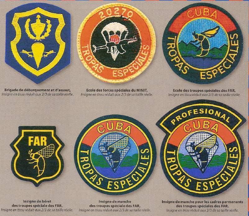 古巴黑黄蜂特种部队，于1986年12月1日正式成立。
正式成立以前已经有特种部队