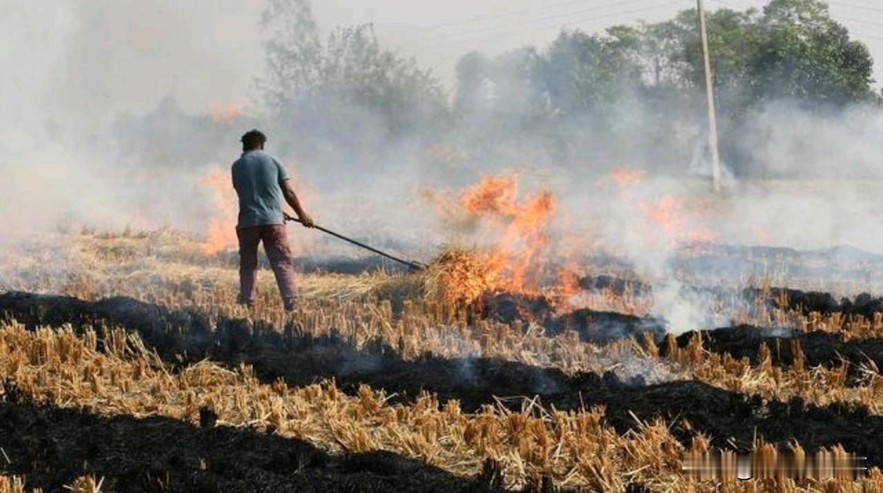 太荒唐了！黑龙江一地区干部为死守村民烧秸秆，硬生生吃了十多万的干部餐，结果讽刺的