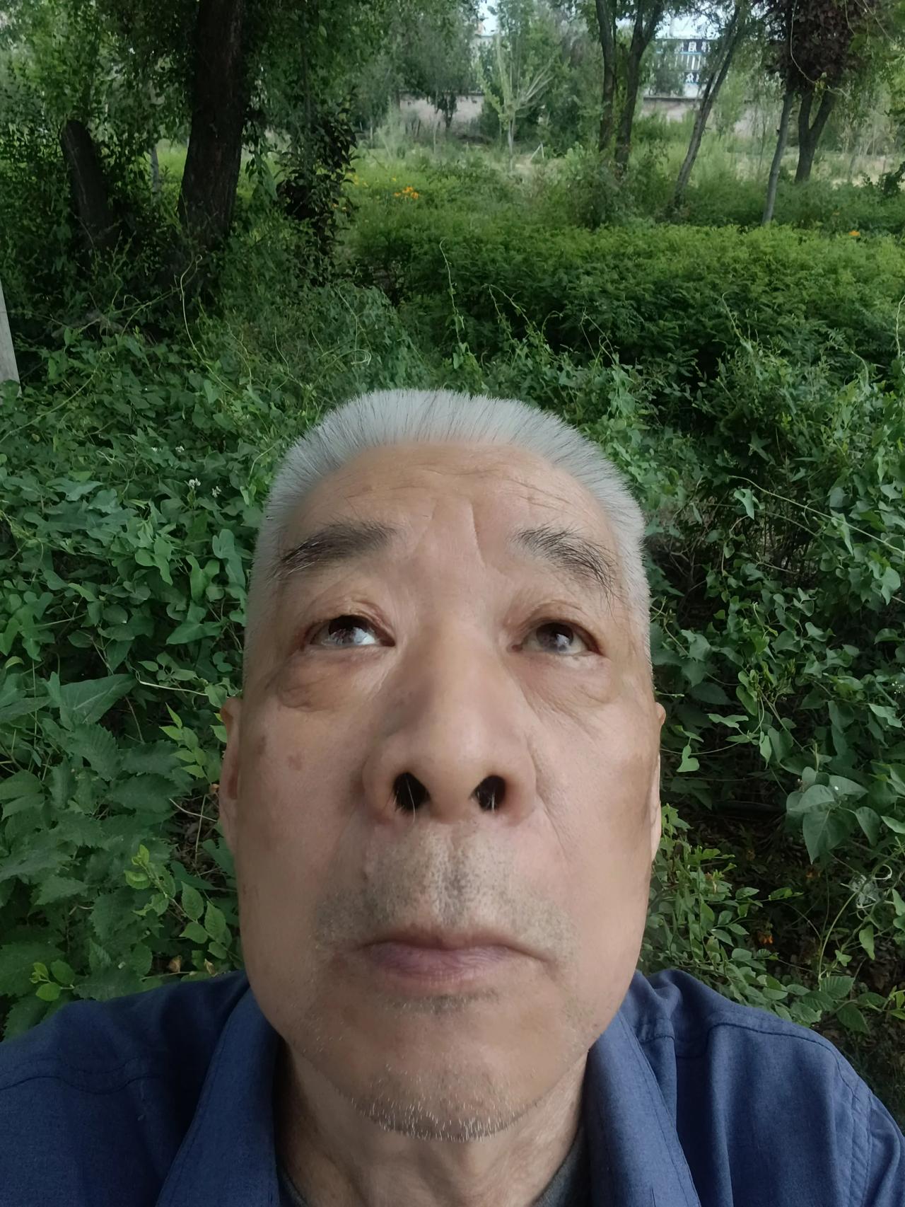 假如有一天我经济自由了，我第一件事就是要把我的作品 《老子批判达尔文》，拍成电影