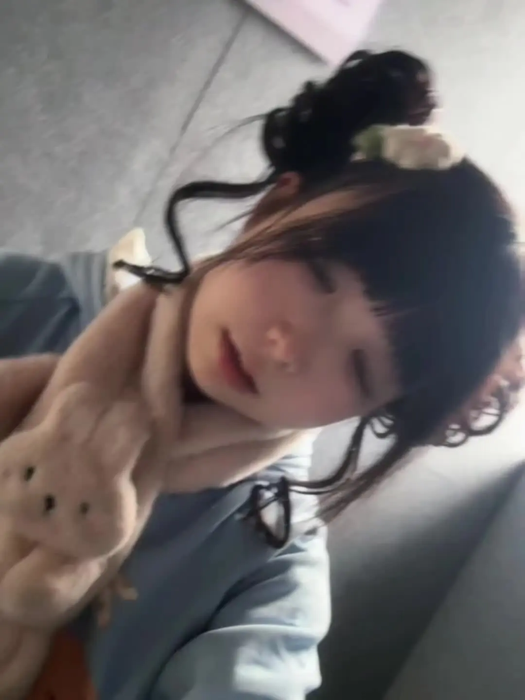 如果你惹毛了我 我就变得毛茸茸了