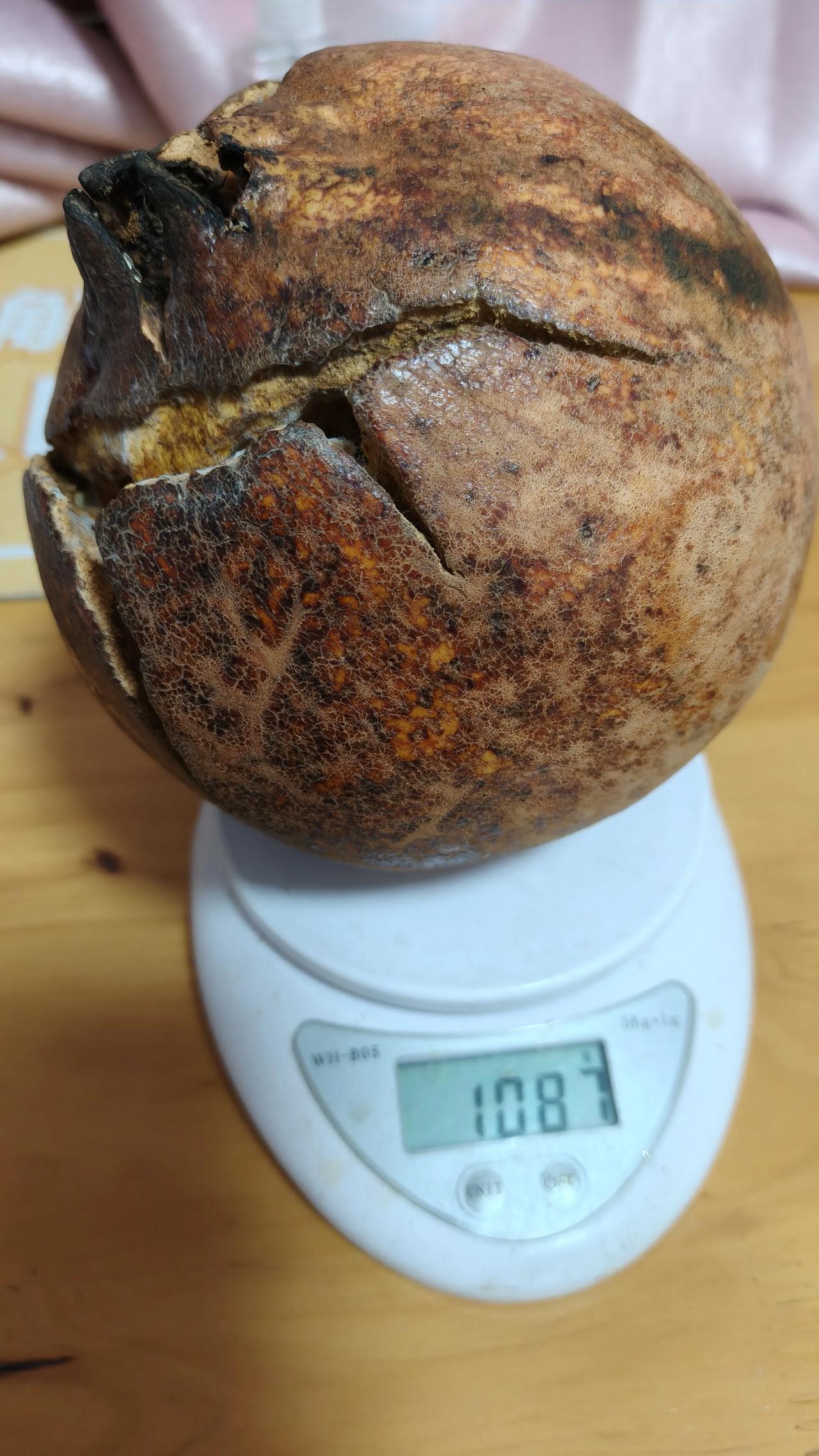 我新发布的内容被官方推荐啦！👍你也快来发布一条吧！带