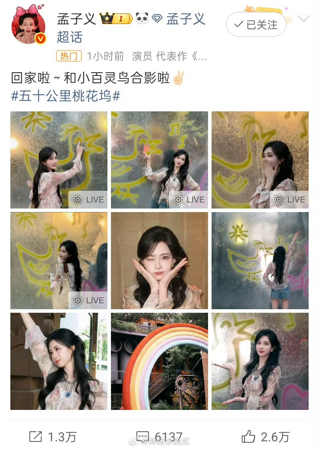 那孟子义后面是常驻了吗孟子义回桃花坞晒照