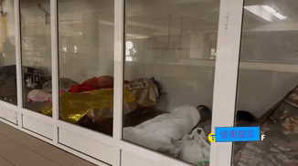 乌克兰基辅，由于断水断电，和持续轰炸，地铁成为了不少民众的定居点，他们搬来了帐篷