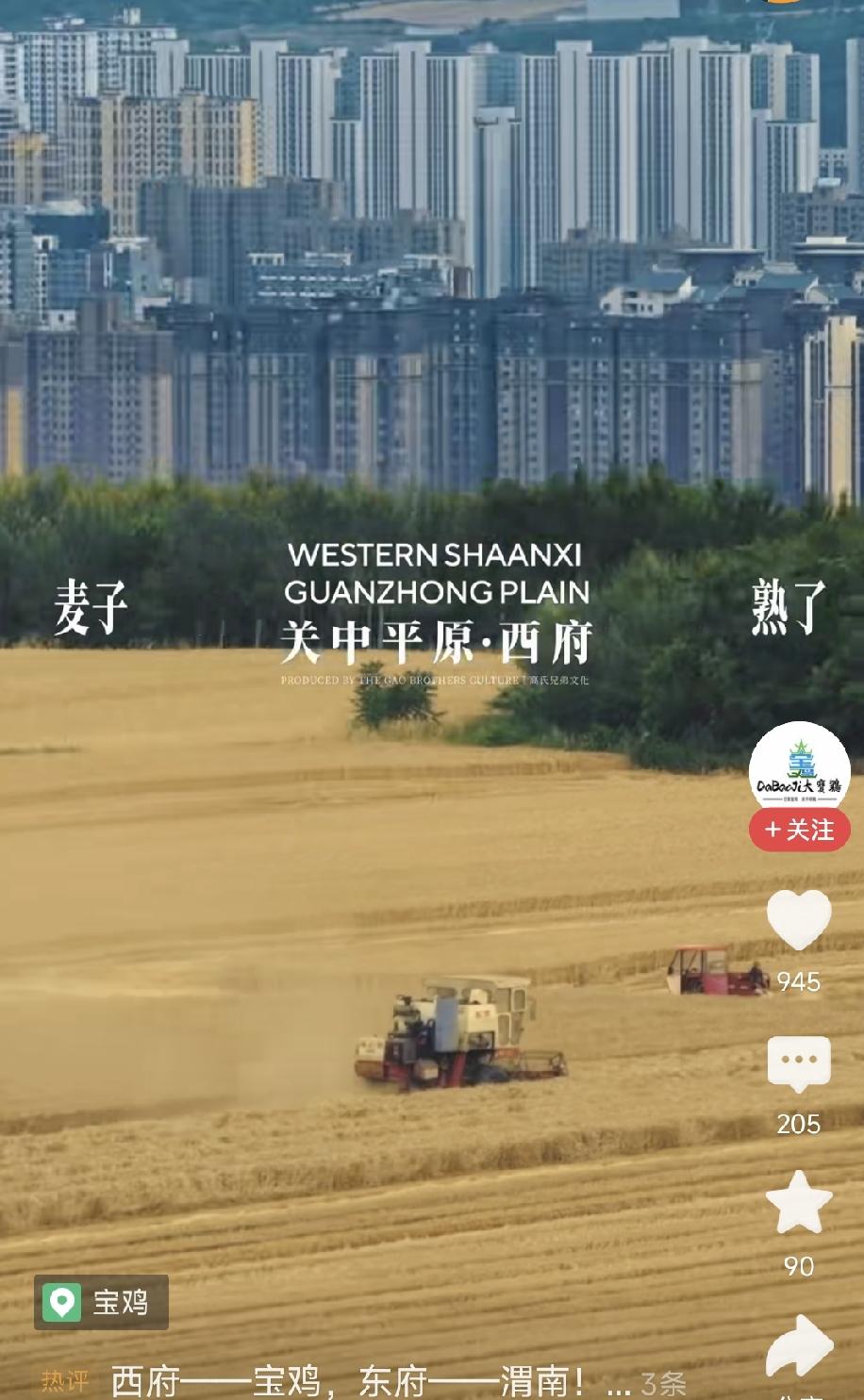 喜看关中收麦忙

六月的关中，正是三夏大忙之时，看着室外骄阳似火的天气，想着过去