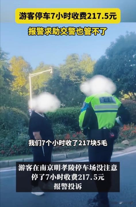 南京明孝陵，一女子国庆去景区游玩，出停车场时傻眼了，她要支付217.5元的停车费